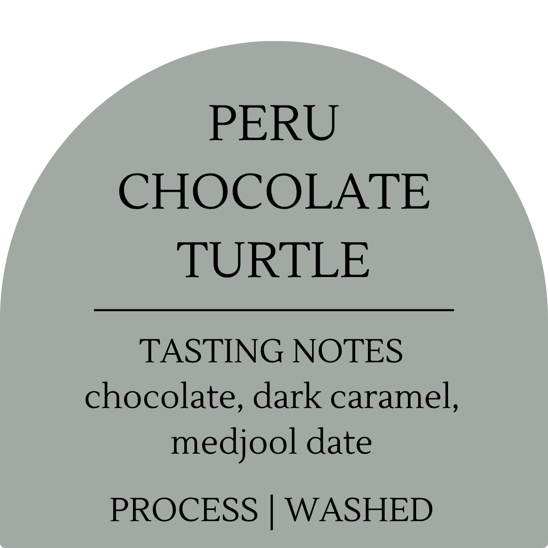 Peru Chocolate Turtle