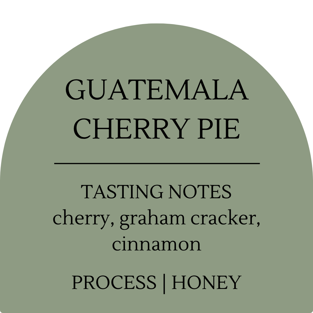 Guatemala Cherry Pie Bonus Bag